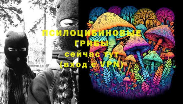 круглые Арсеньев