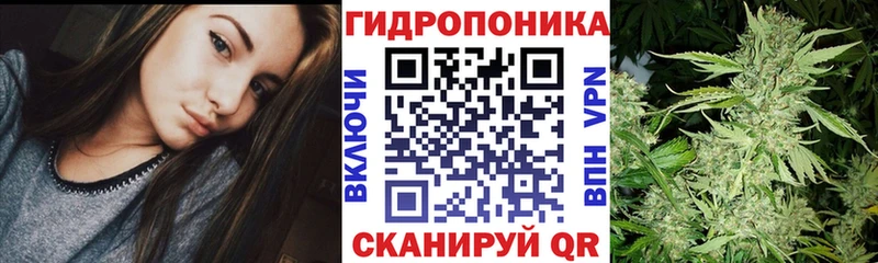 Конопля ГИДРОПОН  что такое   MEGA рабочий сайт  Колпашево 